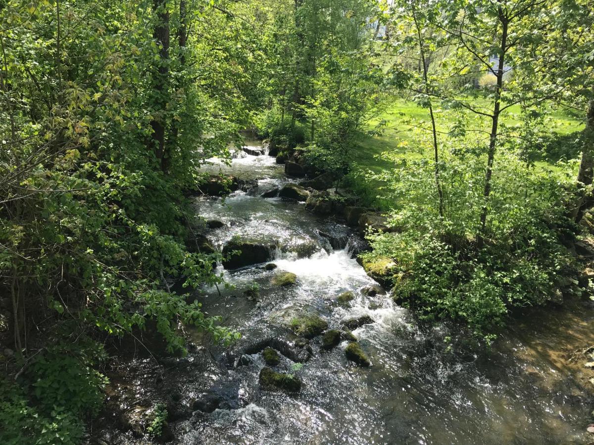 Grosse Und Helle 3 Zi Wohnung In Lossburg-Betzweiler, Schwarzwald Bagian luar foto